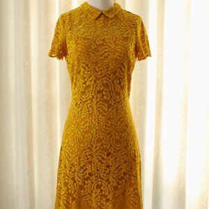 Marigold Zara Lace High Collar Dress